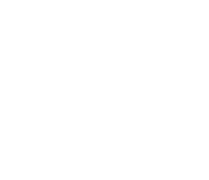 Mick Rosolek - UX Designer